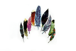  Iron-on transfer - thermo-printing - colorful feathers