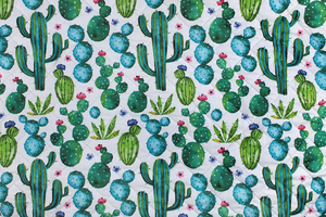 Fabric for picnic mats - cacti