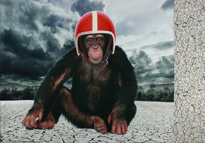 Panoramic panels jersey - Monkey in a helmet